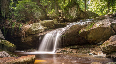 harz